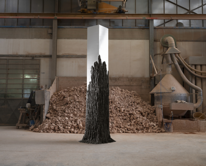 L’ACIER DE L’HOMME OU L’ECORCE DE L’ARBRE